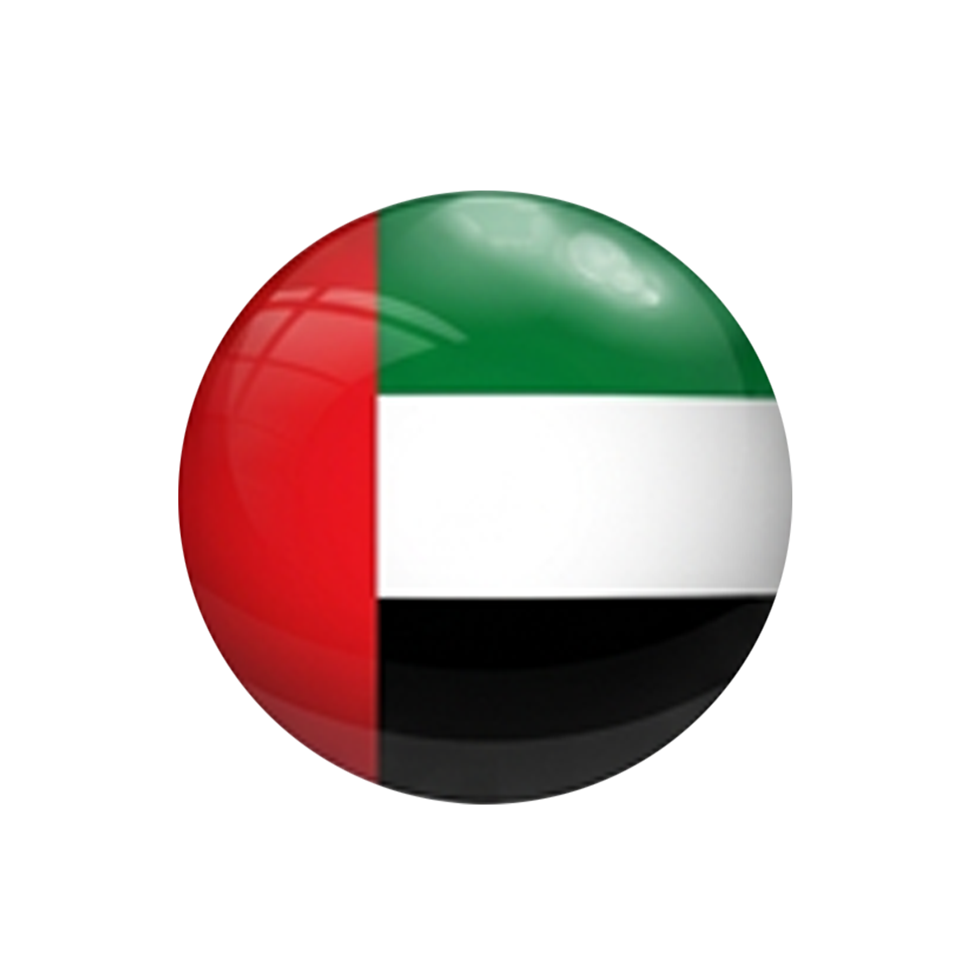 الامارات العربية النتحدة - روسيا‏